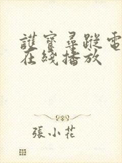 护宝寻踪电视剧在线播放