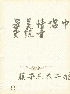 最美情侣中文免费观看