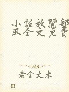 小说放开那个女巫全文免费看封面