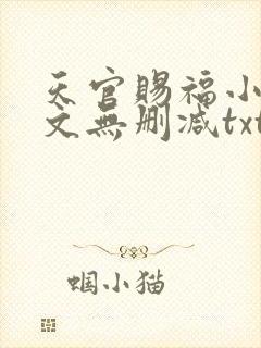 天官赐福小说全文无删减txt下载