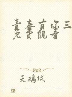 青春有你三在线免费观看