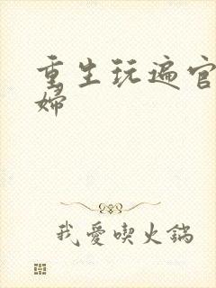 重生玩遍官场贵妇