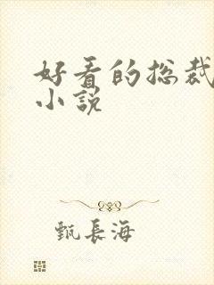 好看的总裁豪门小说