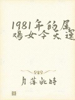 1981年的属鸡女今天运气