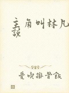 主角叫林凡的小说