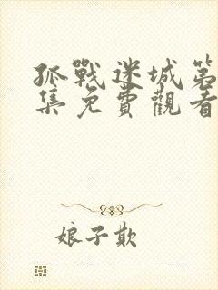 孤战迷城第27集免费观看