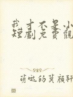 我才不是小可怜短剧免费观看全集