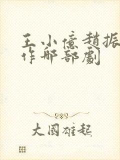 王小亿赵振栋合作哪部剧封面