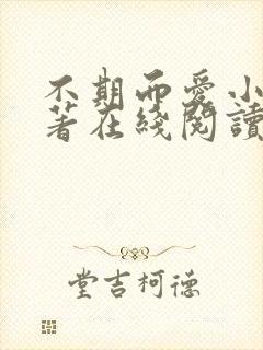 不期而爱小说原著在线阅读