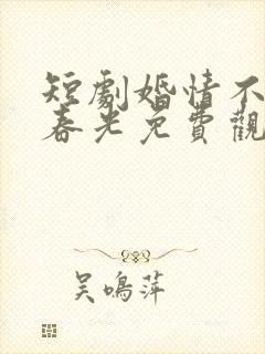 短剧婚情不负好春光免费观看