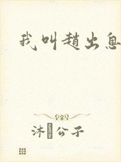 我叫赵出息剧情