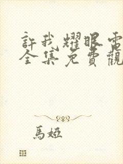 许我耀眼电视剧全集免费观看封面