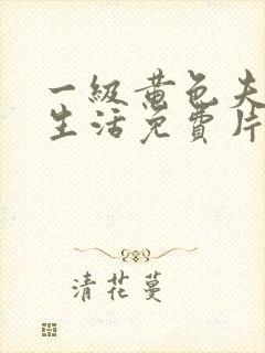 一级黄色夫妻性生活免费片