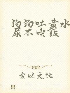 狗狗吐黄水尿黄尿不吃饭