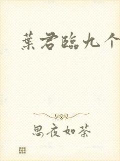 叶君临九个师傅