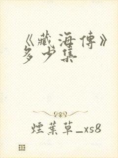 《藏海传》一共多少集