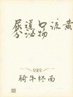 尿道口流黄绿色分泌物