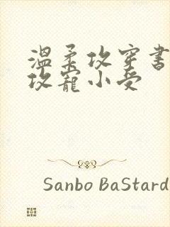 温柔攻穿书成渣攻宠小受