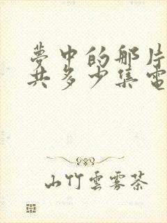 梦中的那片海一共多少集电视剧封面