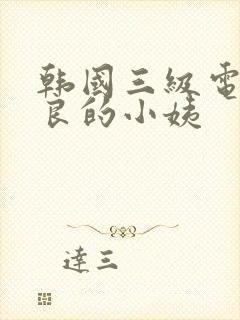 韩国三级电影善良的小姨封面