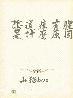 阴道痒有腥臭味是什么原因封面