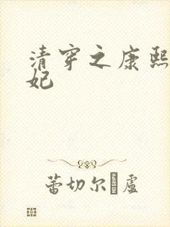 清穿之康熙太子妃