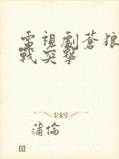 电视剧苍狼之特战突击