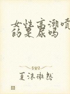 女性高潮喷出来的是尿吗