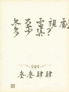 冬至电视剧一共多少集?封面