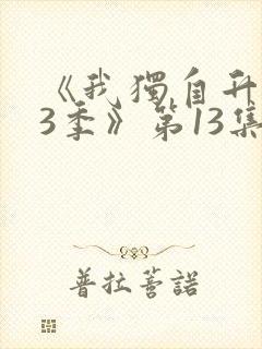 《我独自升级第3季》第13集全集免费封面