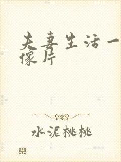 夫妻生活一级录像片