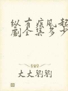 纵有疾风起电视剧全集多少集