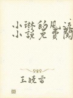 小琳的风流人生小说免费阅读