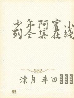 少年阿宾小说系列全集在线阅读