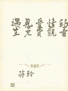 遇见爱情的利先生免费观看电视剧