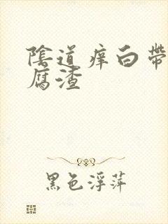 阴道痒白带黄豆腐渣