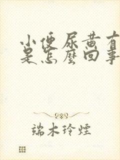 小便尿黄有异味是怎么回事封面