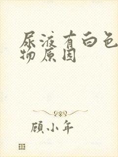 尿液有白色沉淀物原因