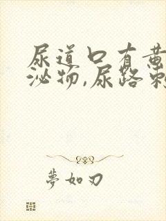 尿道口有黄色分泌物,尿路刺痛