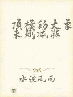 顶楼的大象完整未删减版