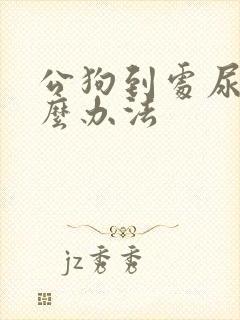 公狗到处尿有什么办法