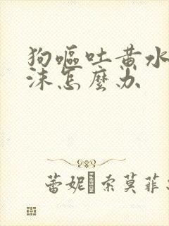 狗呕吐黄水带泡沫怎么办