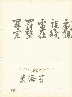 罪罚电视剧全集完整在线观看免费