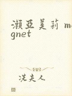 濑亚美莉 magnet