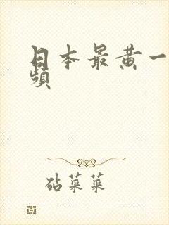 日本最黄一级视频