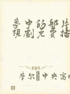 梦中的那片海电视剧免费播放