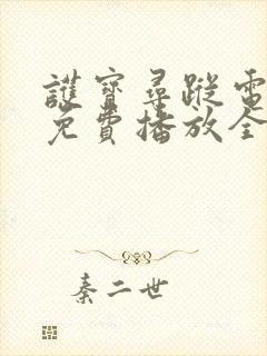 护宝寻踪电视剧免费播放全集封面