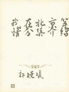 我在北京等你剧情分集介绍