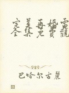 完美再婚电视剧全集免费观看