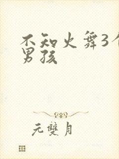 不知火舞3个小男孩封面